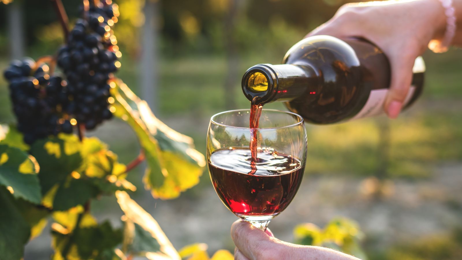 Are You Drinking the Best Red Wine for Heart Health