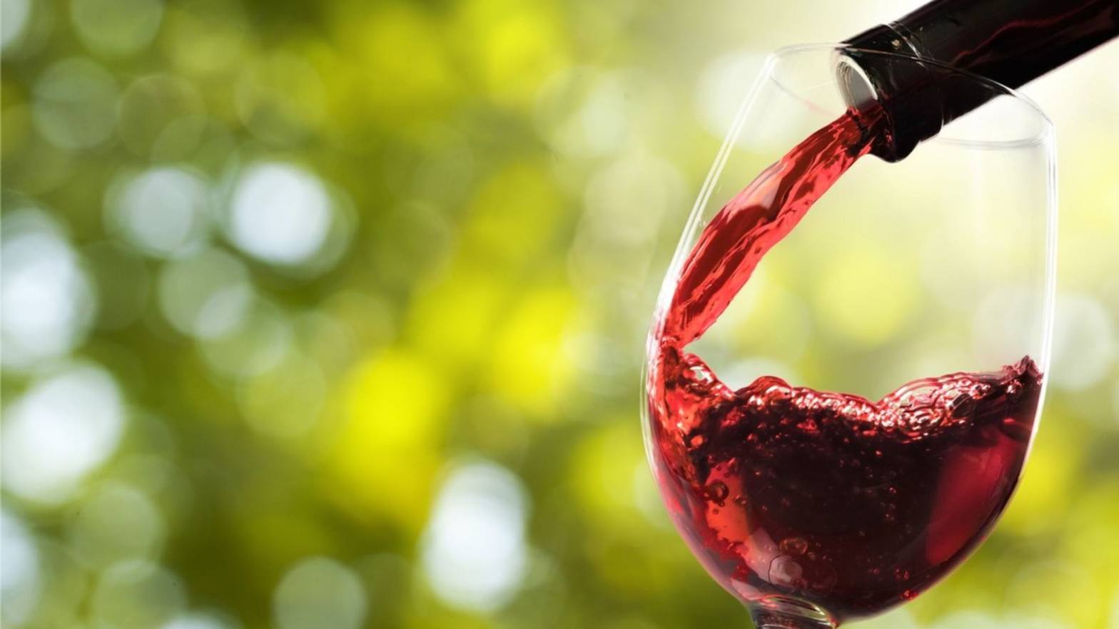 Why Go Organic? Taste the Difference