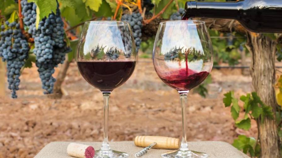 Common Myths About Syrah and Shiraz