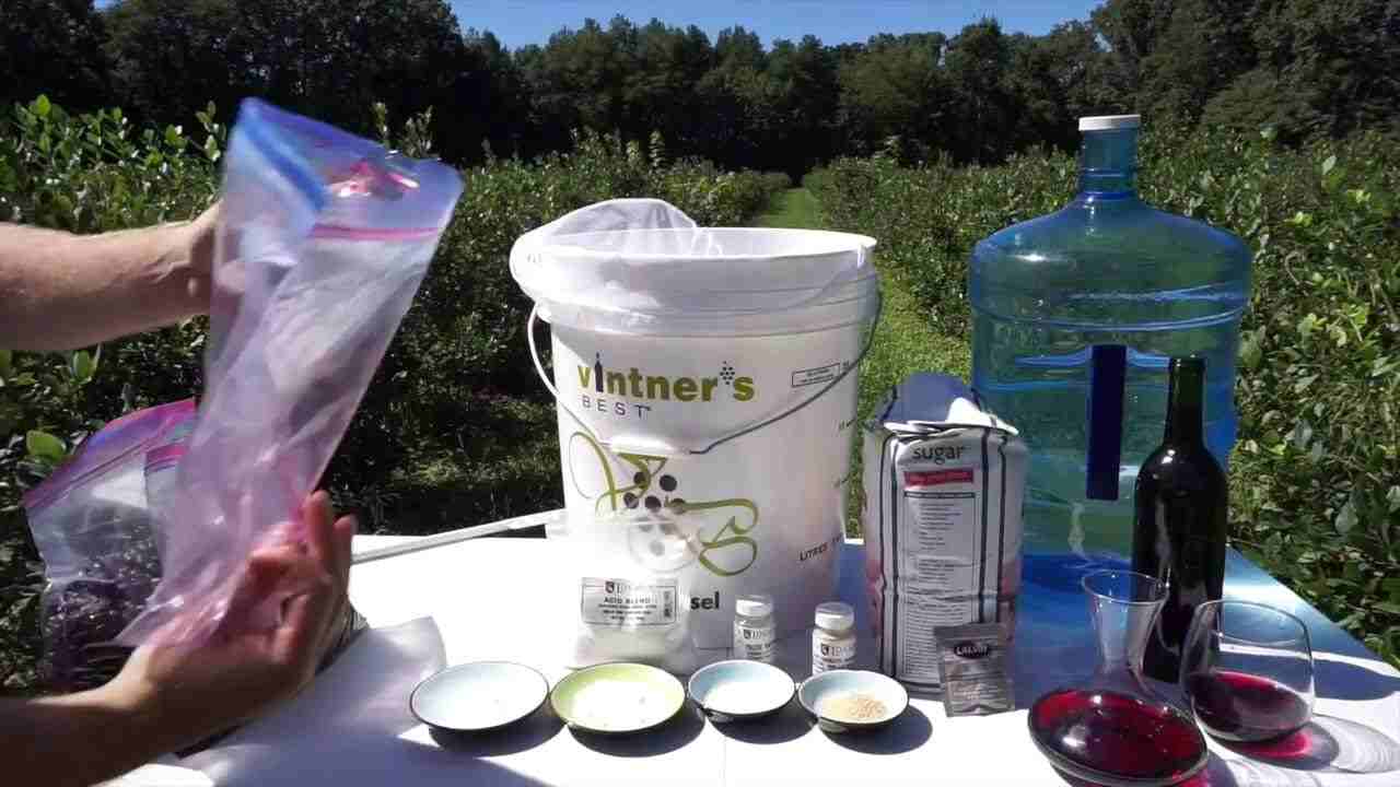 Homemade Wine | Blueberry Wine | How to Make Fruit Wine | DIY | Wine Recipes