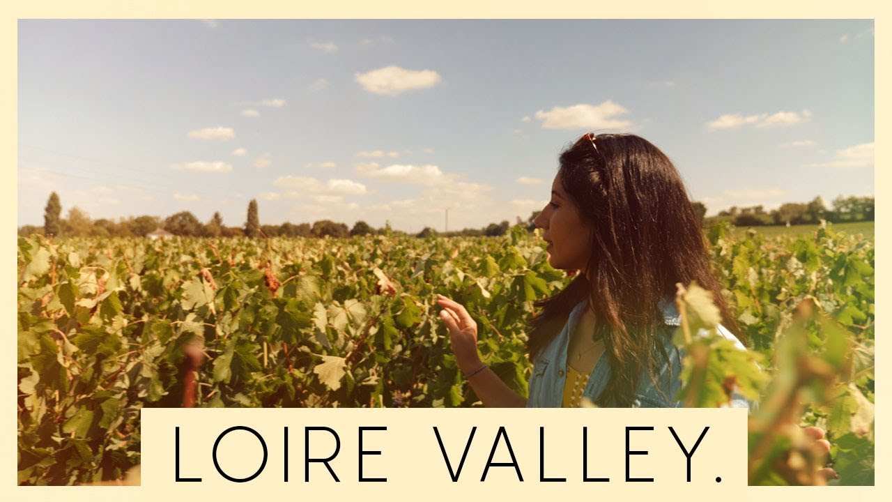 LEARNING HOW TO TASTE WINE IN FRANCE! & Why You Should Spit It Out