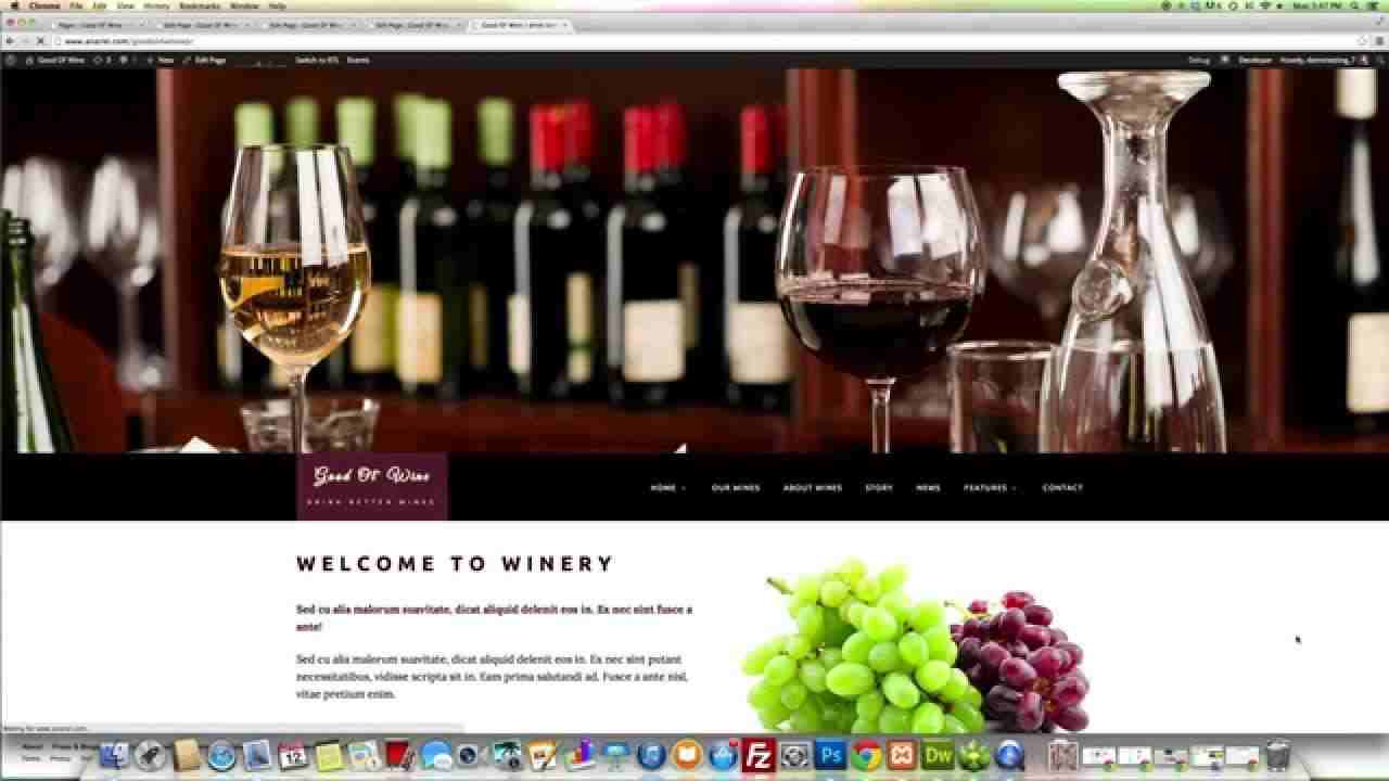 Good Ol’ Wine – About Wines Page