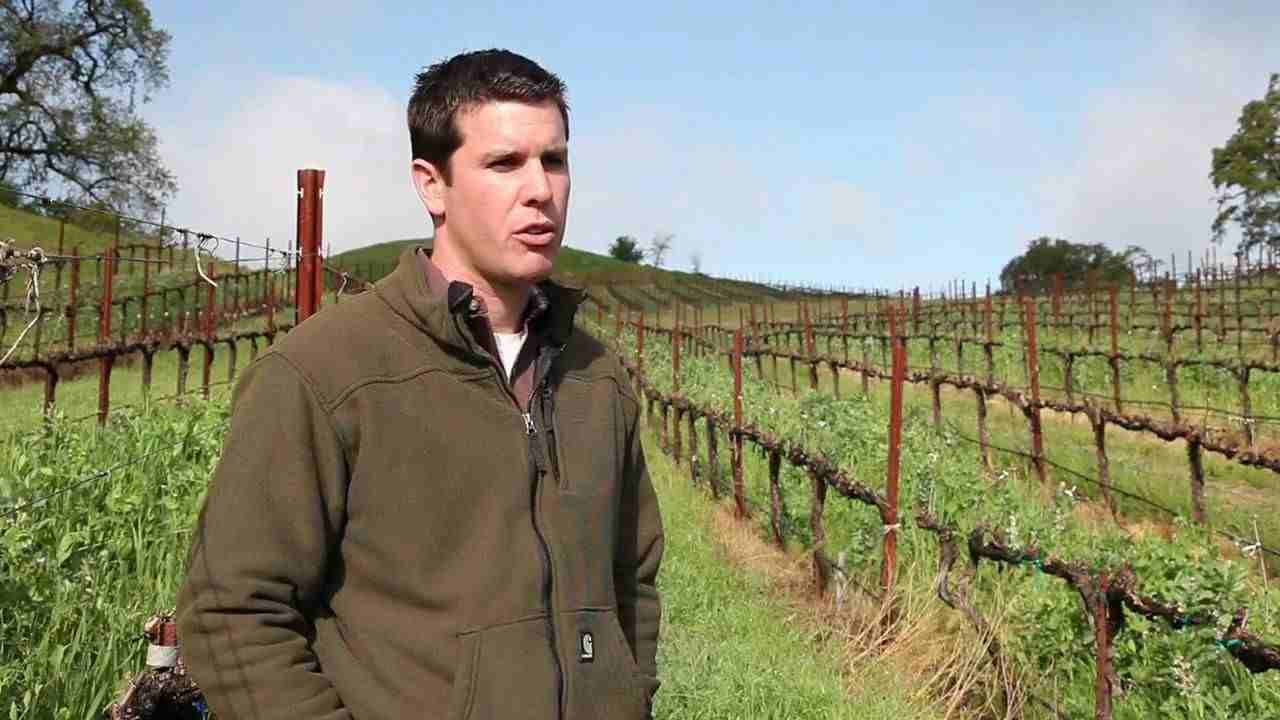 Vineyard Bud Break at Jordan Winery | 2010 Vintage Report