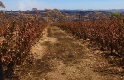 News from the fire ground: The journey towards recovery