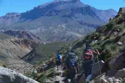 Mendoza wishes you a very Malbec Christmas and a Happy New Year