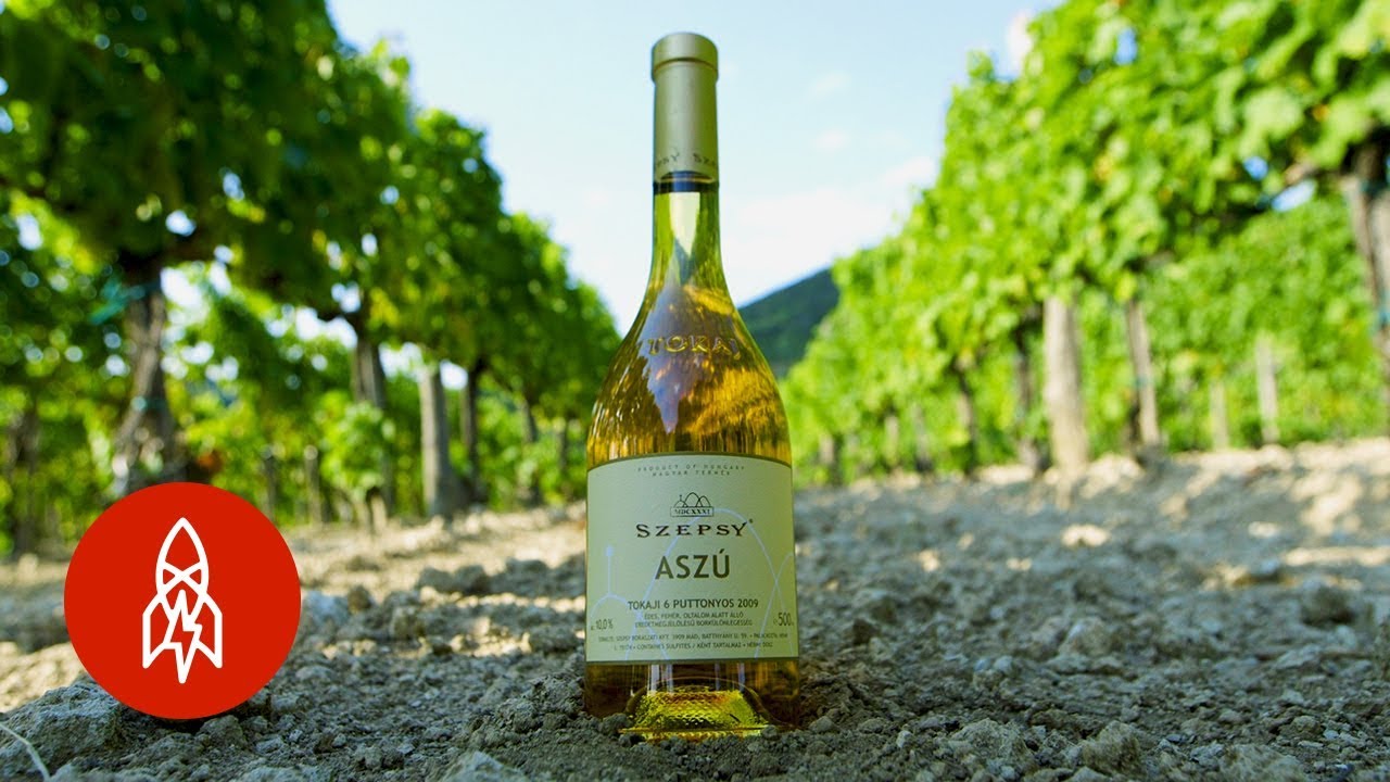 The Rotten Grapes Behind this Legendary Wine