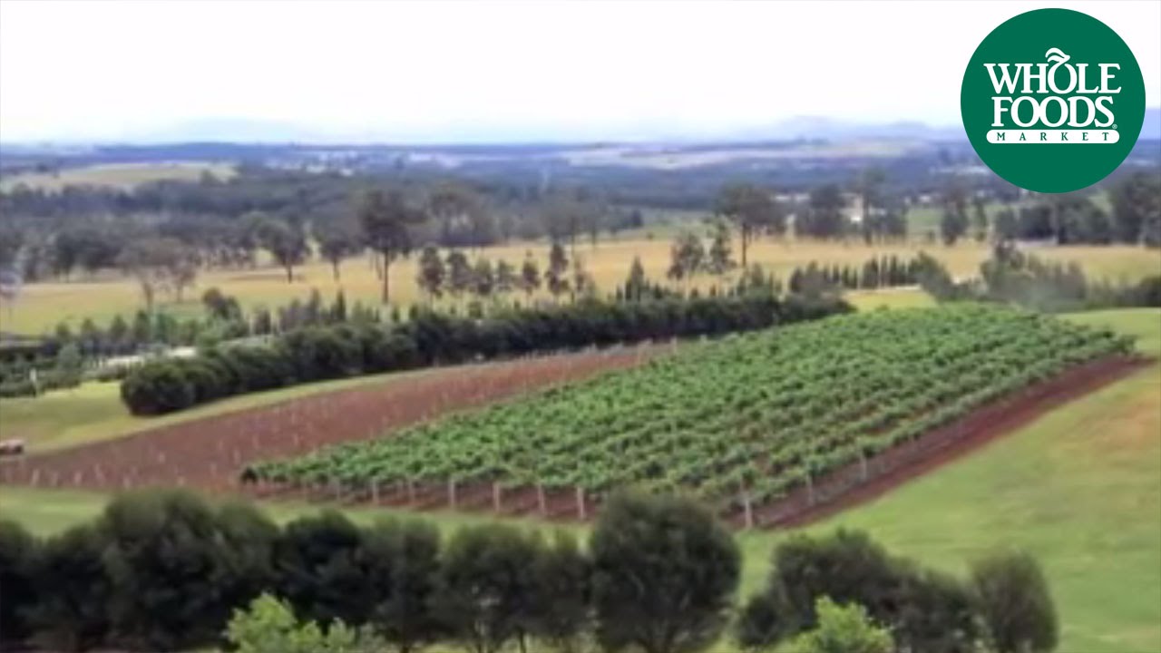 Wines of Australia | Local Love Stories | Whole Foods Market