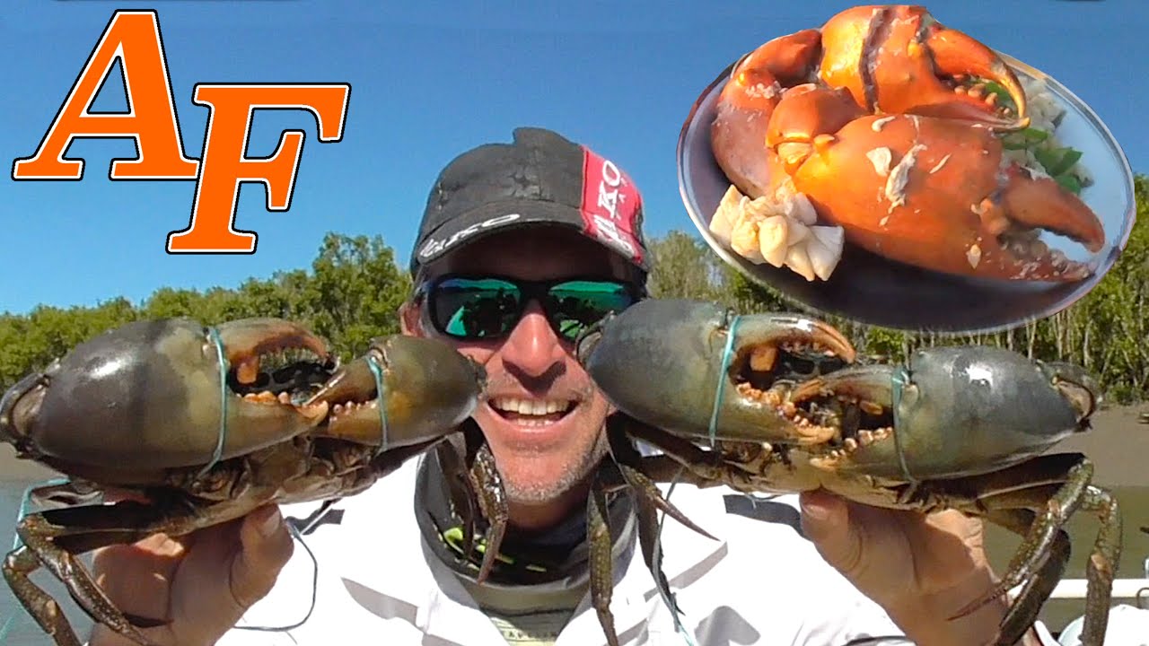 Delicious Mud Crab in White wine & Garlic Sauce Recipe Catch and Cook kepiting lumpur EP.410