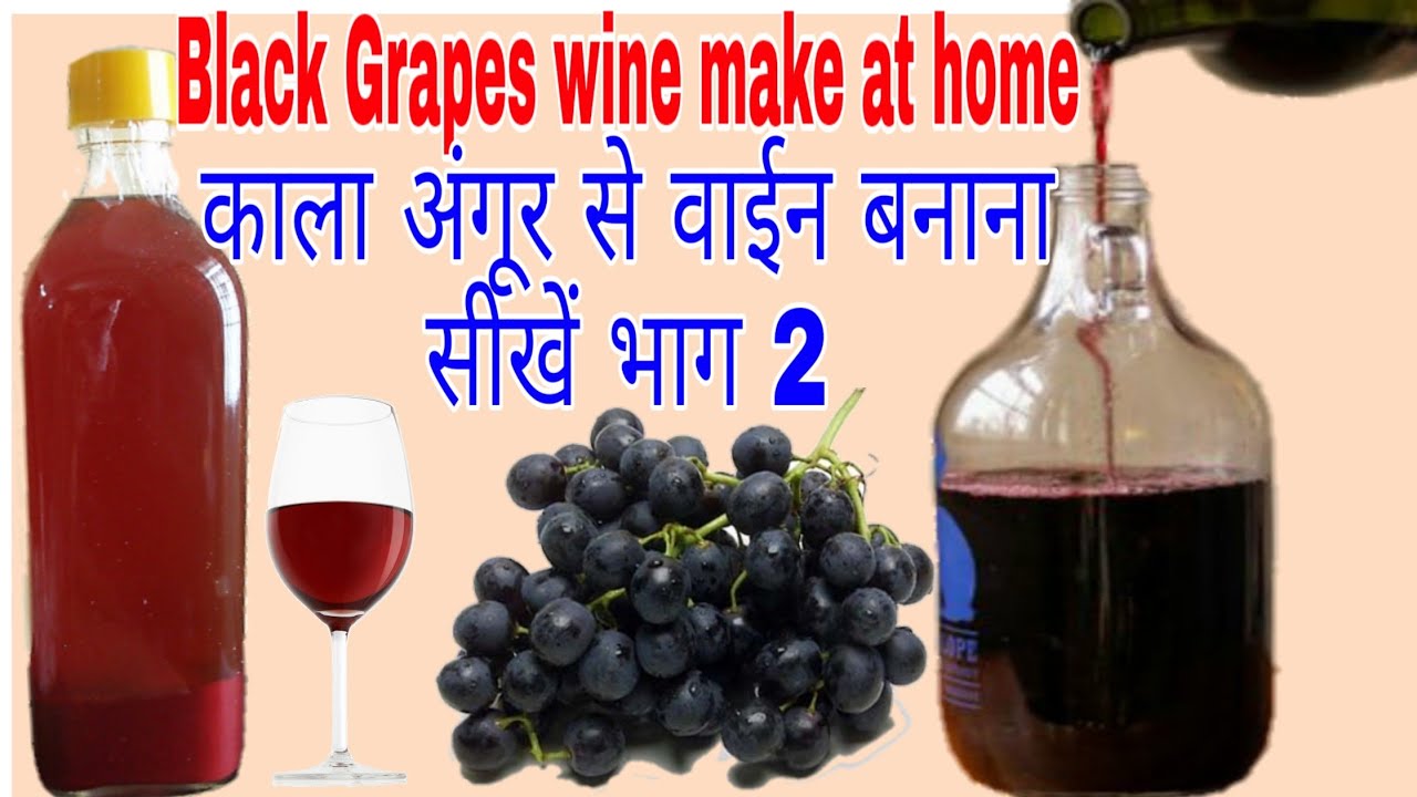 Black Grapes Wine make at home 2. Desi Shrab & food recipes
