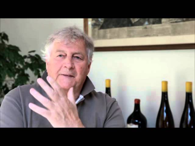 What is Grüner Veltliner?