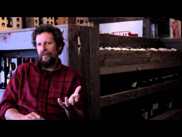 Winemaking 101: How do you decide when to harvest wine grapes?