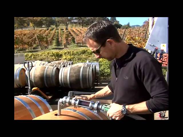 Future of Southern Oregon wine looks ripe