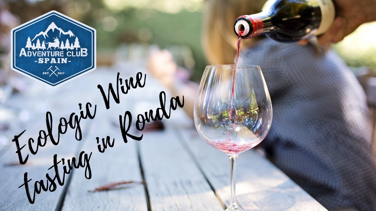 Ecologic Wine tasting in Ronda, Andalucia Spain