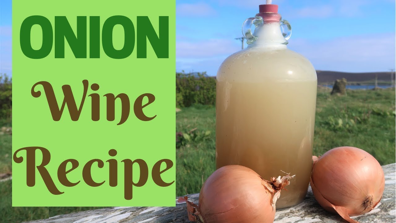 Onion Wine!  Simple recipe and method for homebrew!