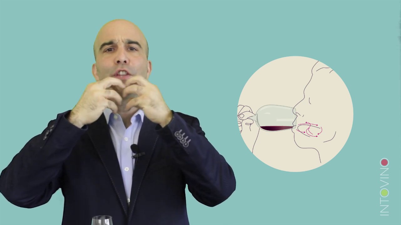 Wine Tasting: Learn to taste wine like a pro