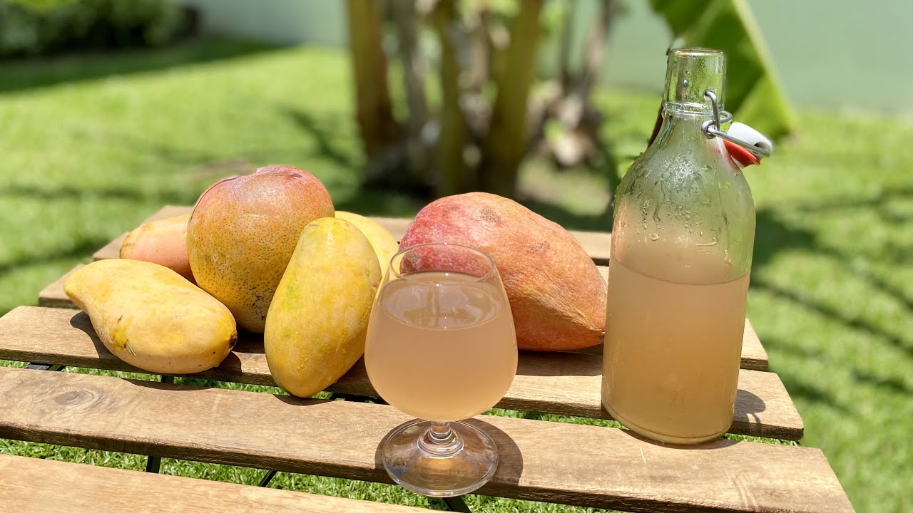 MANGO WINE how to make at home – Healthy Homemade Wine without  Yeast – Easy recipe for beginners