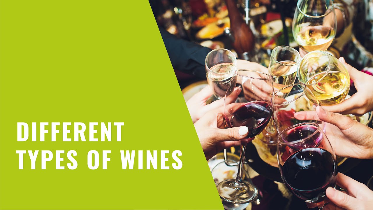 Different Types of Wines #wine #redwine #winetasting
