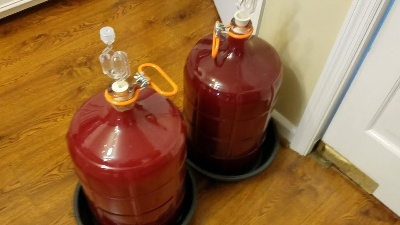 PHIL’S HOMEMADE WINE | PART 1 | PICK WASH CRUSH | PRIM & SEC FERMENTATION
