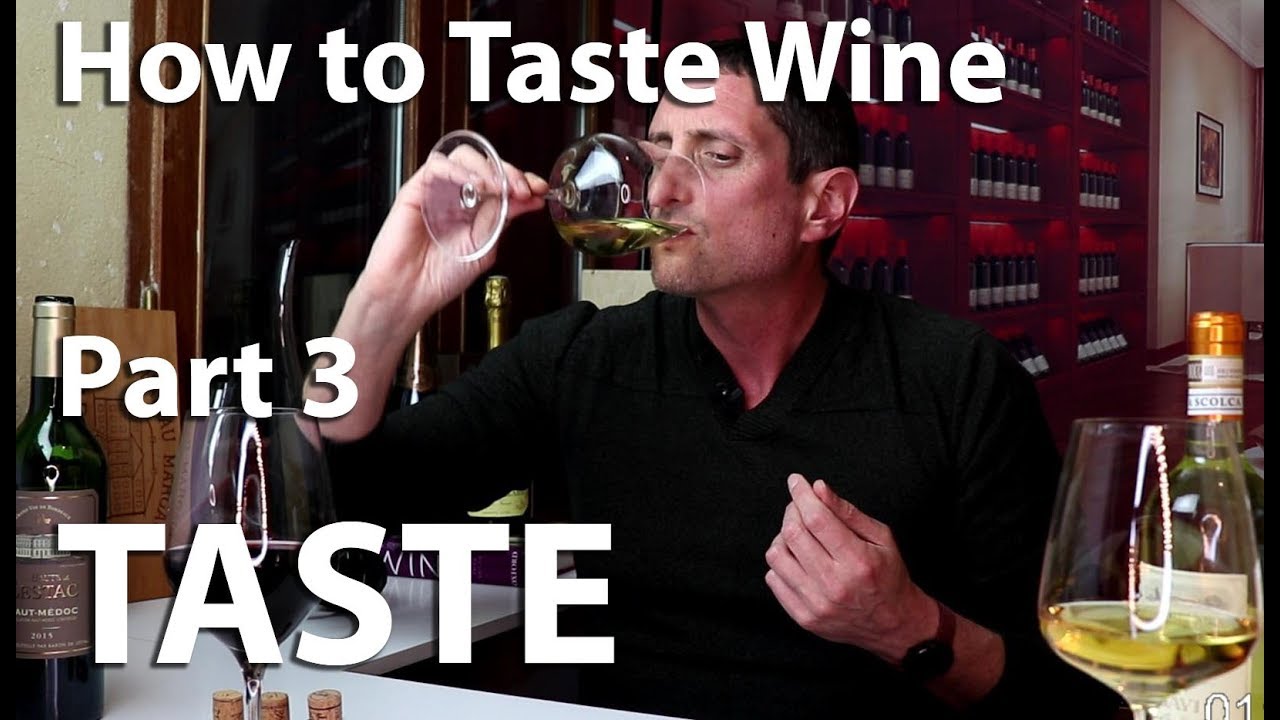 How to Taste Wine? A Flavor Experience