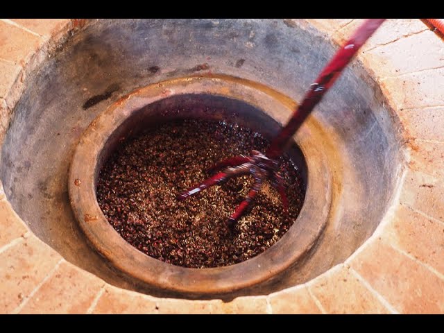 Visiting Georgia’s wine regions, pursuing qvevri wines