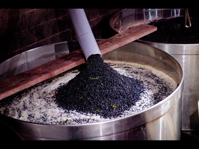 What is Chaptalization?  Why is it needed in winemaking? Part 1 of 2