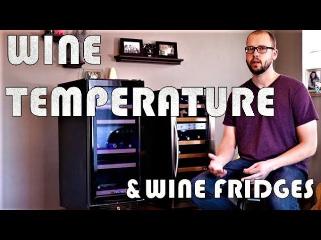 Proper Wine Temperature and How to Select a Wine Fridge