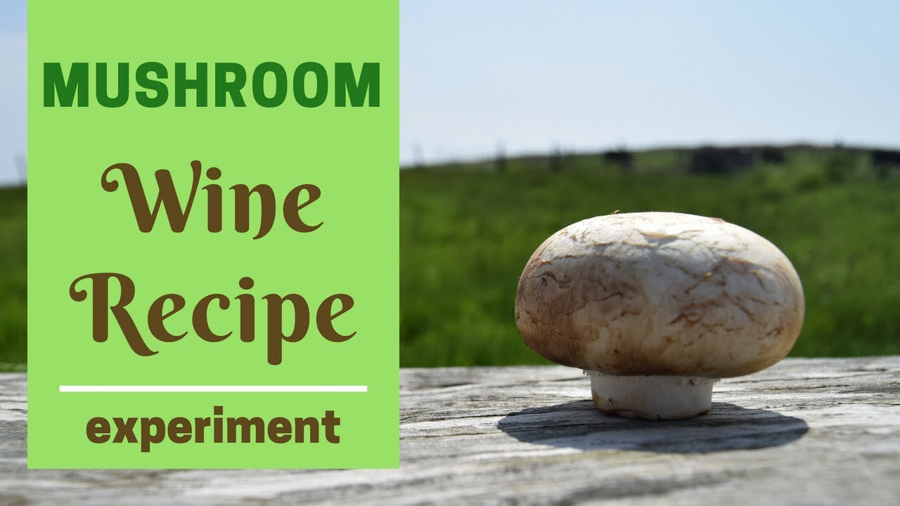 How to make Mushroom Wine – Recipe and Method!