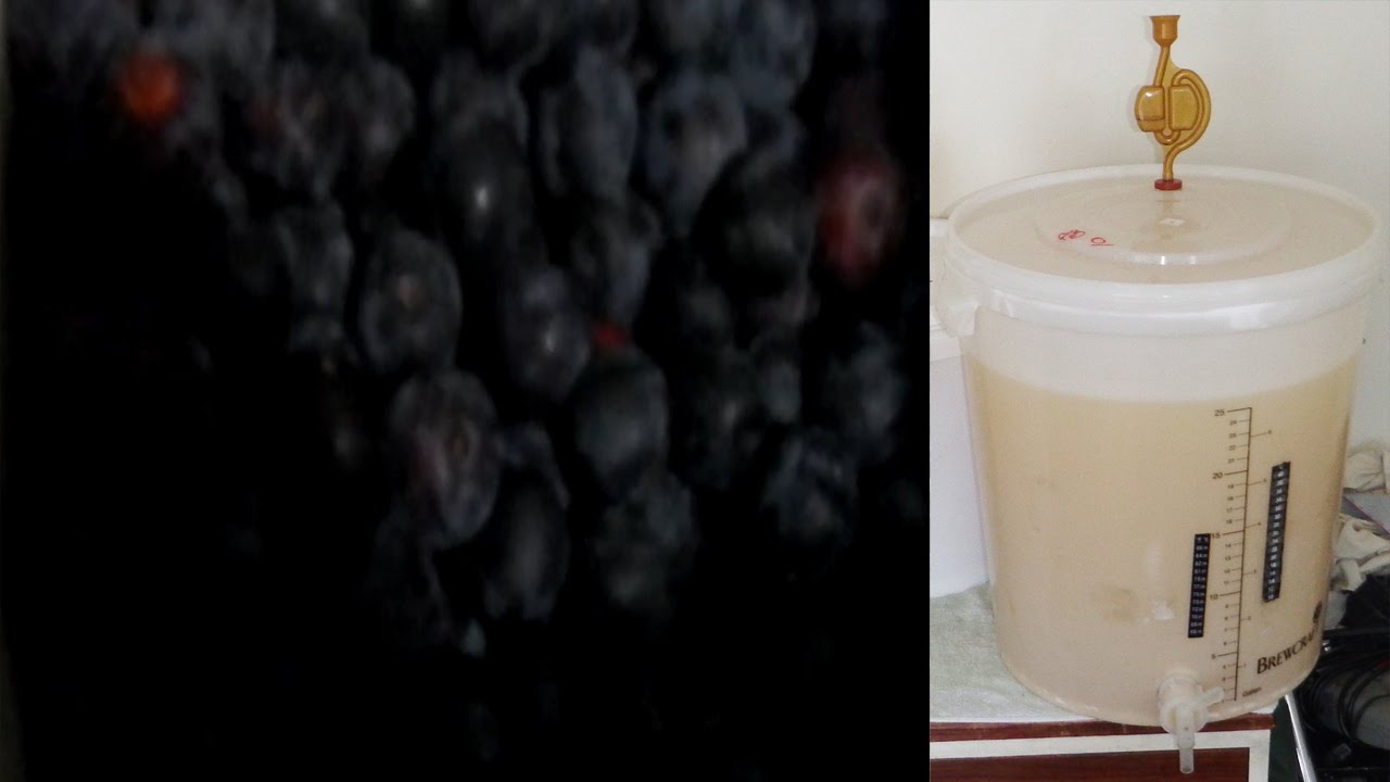 How to Make Plum Wine (+Recipe) Part-1 (Steeping Method)
