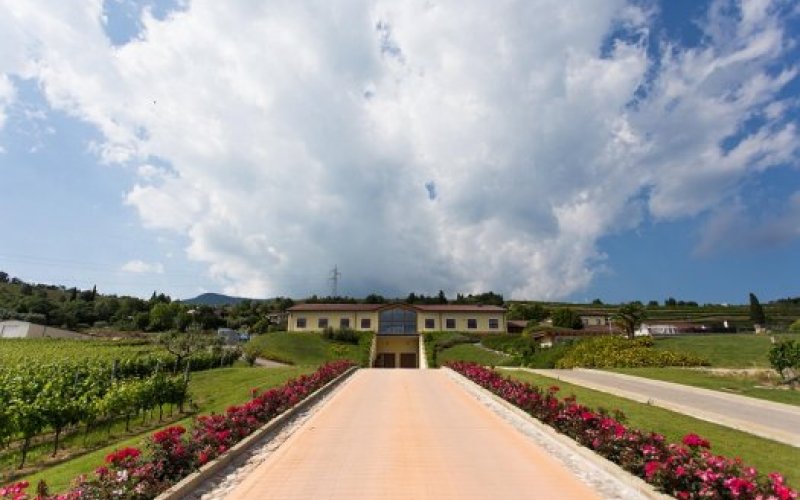 Verona wine tourism: there is even more “green” in a glass of wine….