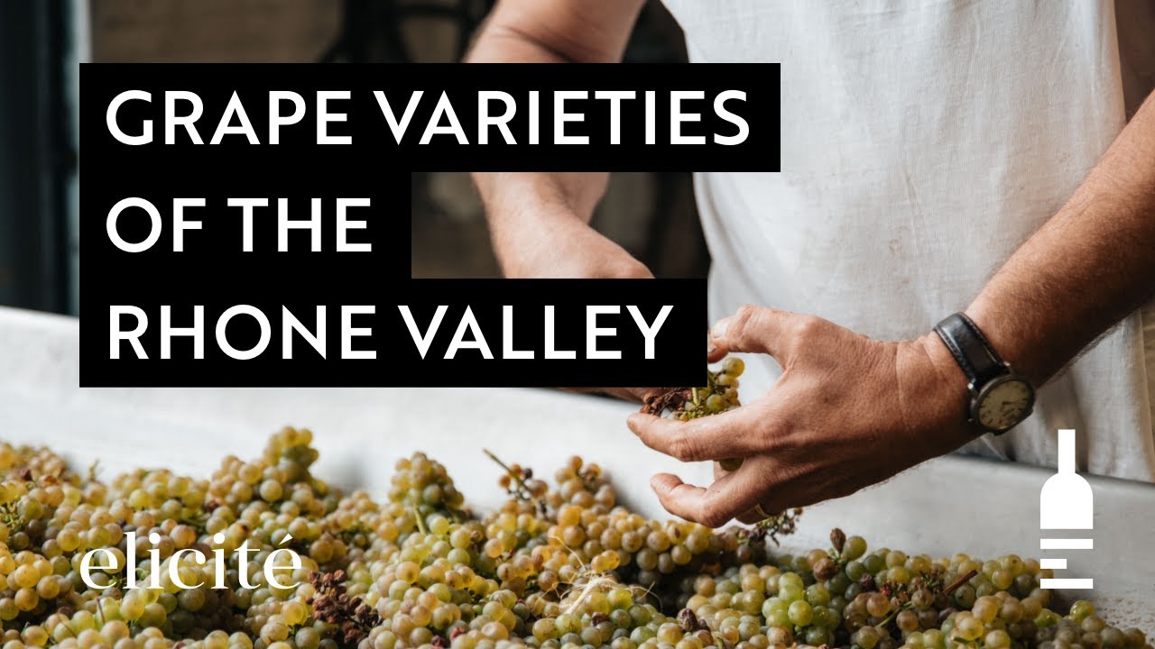 The Different Grape Varieties And Styles Of The Rhone Valley Wine Region