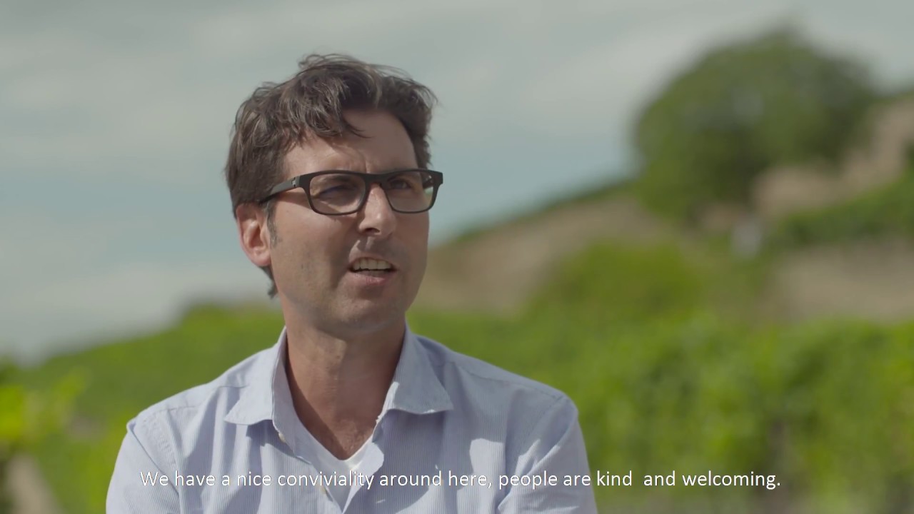 Extraordinary range of soil types in Nahe region make versatile wines