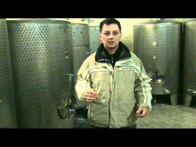 Denis Imsirovic  About wines of Bela Krajina