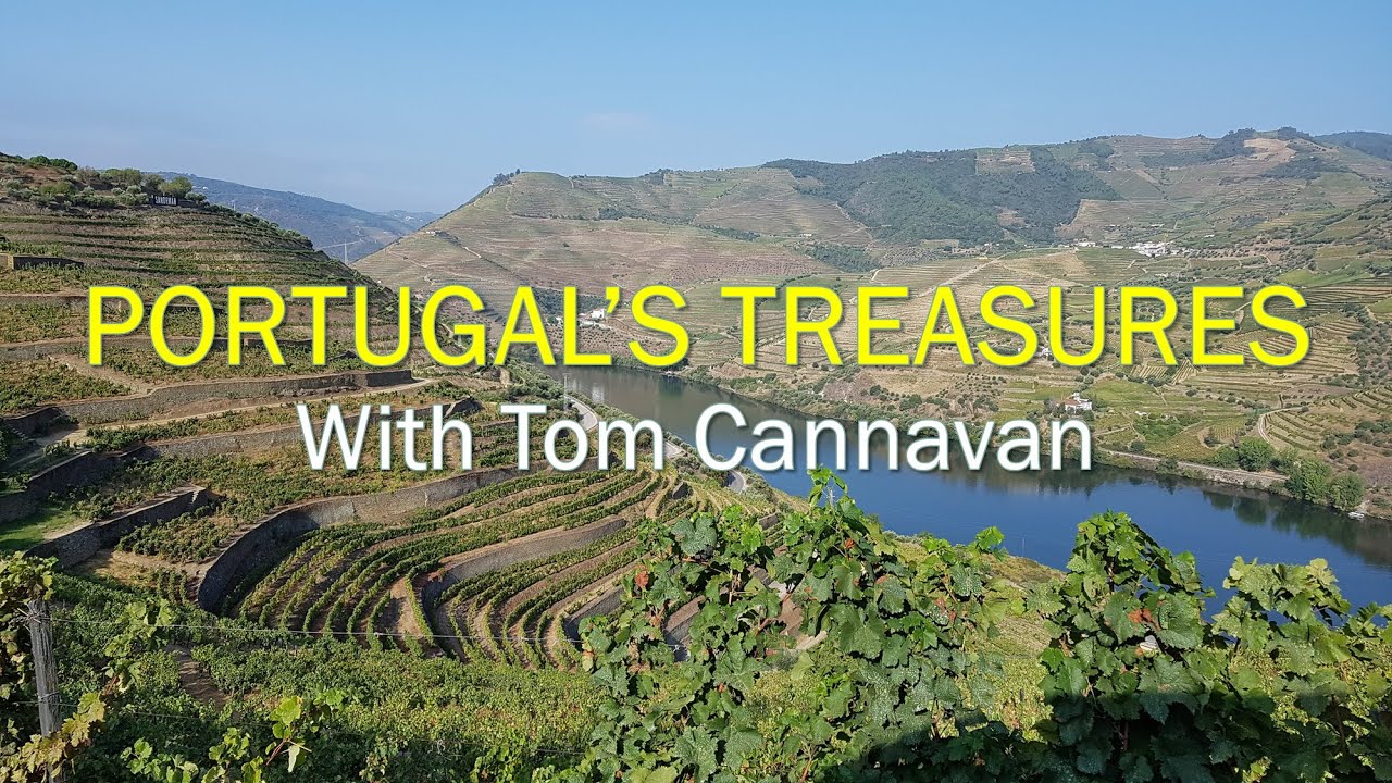 Tom Cannavan, sample of an online wine tasting via Zoom