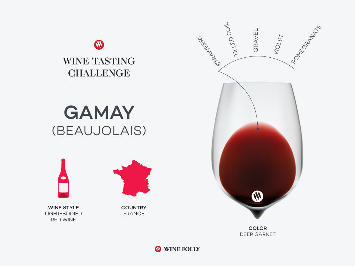 Tasting Challenge: The Most Famous Gamay – Beaujolais